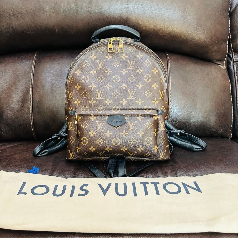 Louis Vuitton Palm Springs MM Backpack